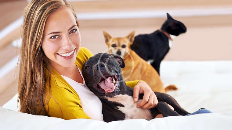 Top 5 Dog Behavior Myths